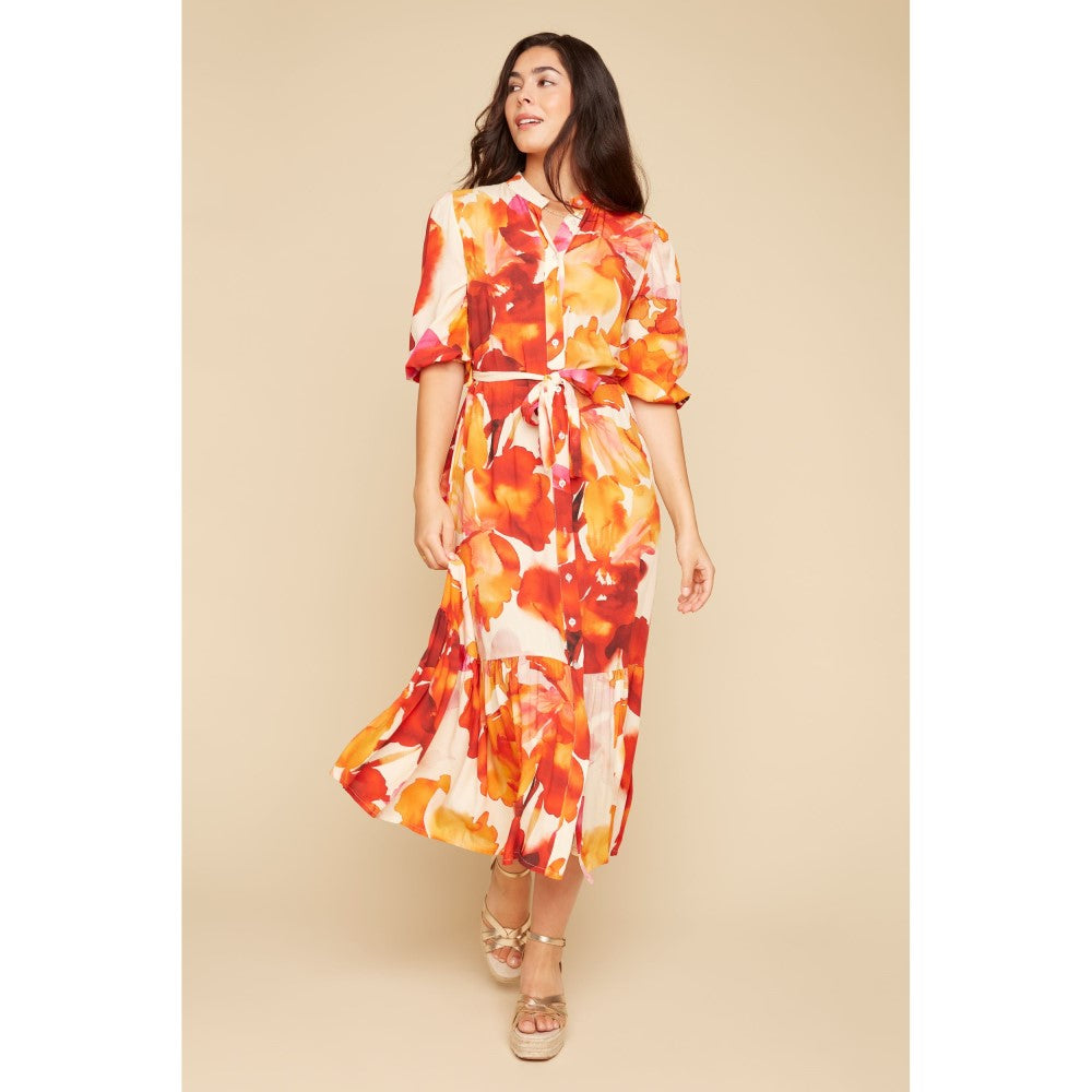 Hibiscus Maxi