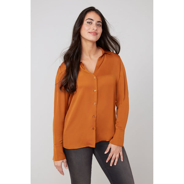 Satin Blouse (Available in Bronze or Magenta)
